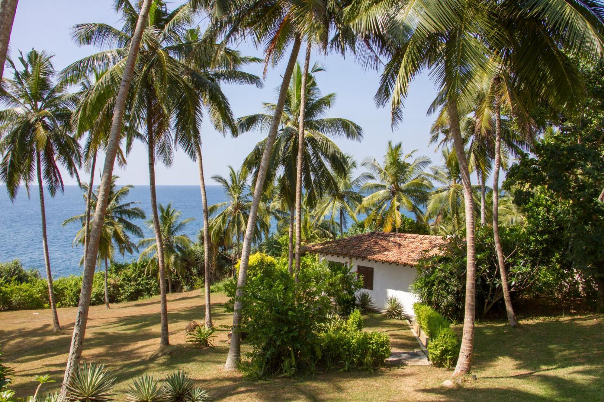 The Saffron House Hotel Dikwella Exterior foto