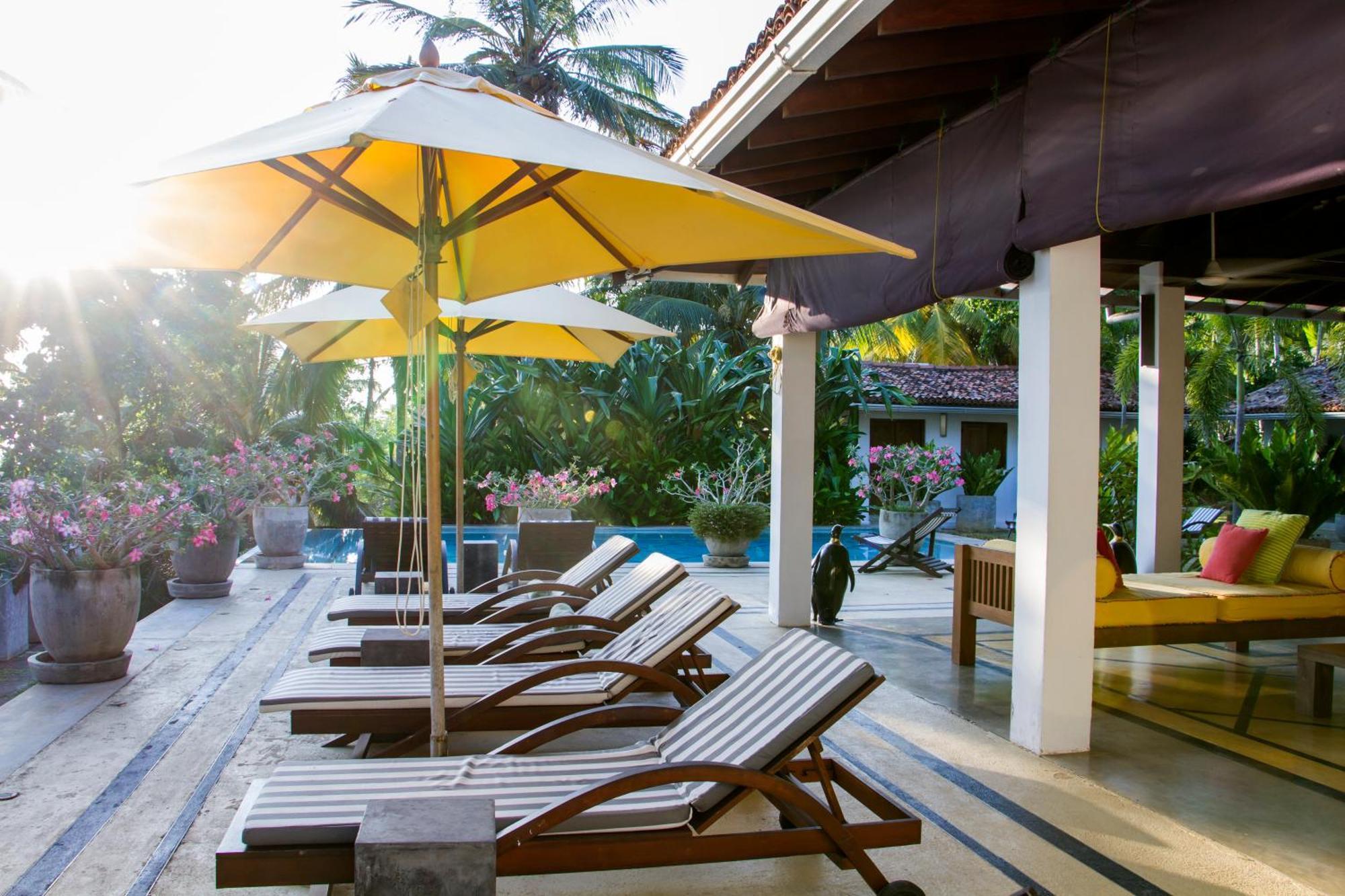 The Saffron House Hotel Dikwella Exterior foto