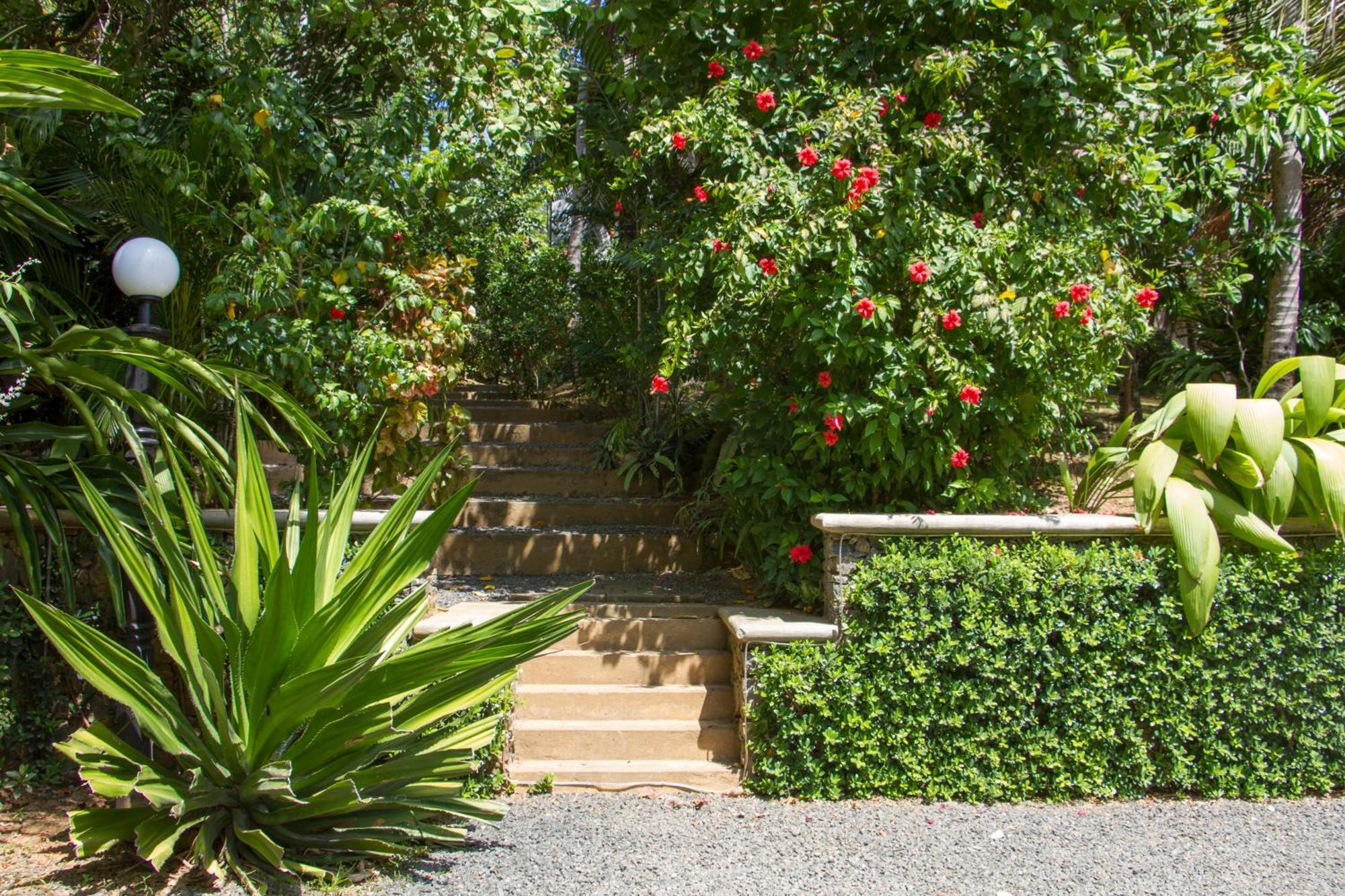 The Saffron House Hotel Dikwella Exterior foto